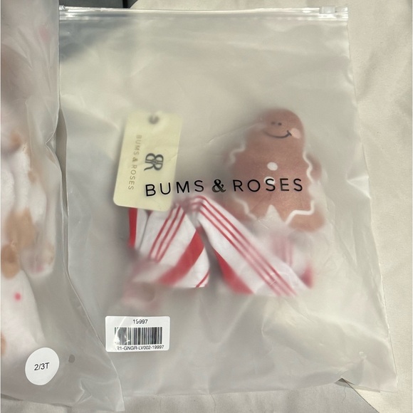 Bums and Roses sold out Baking Spirits Bright plush lovey - Picture 4 of 4